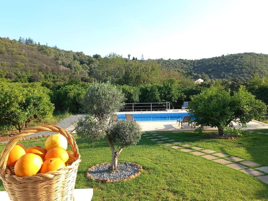 Casa Citrus Limao - Between The Hills & The Ocean Silves Ngoại thất bức ảnh