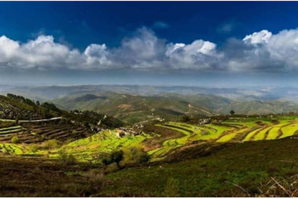 Casa Citrus Limao - Between The Hills & The Ocean Silves Ngoại thất bức ảnh